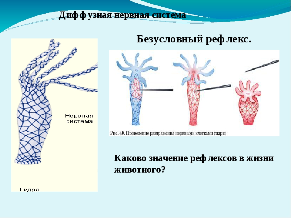 Кракен заблокировали